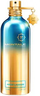 Montale Apă de parfum Aoud Lagoon, 100 ml