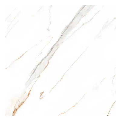 Gresie portelanata exterior / interior Carrara Bianco 60 x 60 cm lucioasa rectificata tip marmura