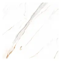 Gresie portelanata exterior / interior Carrara Bianco 60 x 60 cm lucioasa rectificata tip marmura