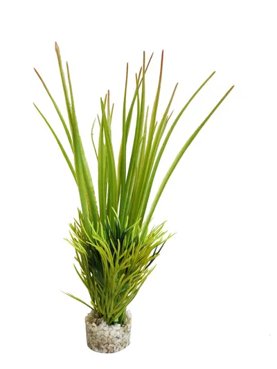 Sydeco Planta Oasis Baby 18 cm 380061