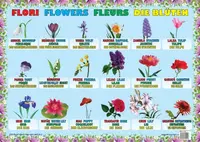 Planșă - Flori - Hardcover