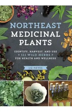 Northeast Medicinal Plants: Identify, Harvest, and Use 111 Wild Herbs for Health and Wellness