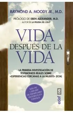 Vida Despues de la Vida