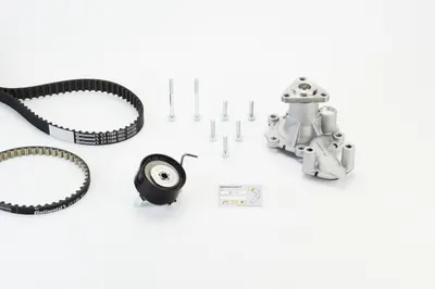 Set Pompa Apa + Curea Dintata Potrivit Ford B-Max, C-Max Ii, Ecosport, Fiesta Vi, Focus Iii, Focus Iii Hatchback, Focus Iii Kombi, Grand C-Max 1.0 02.12