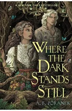 Where the Dark Stands Still