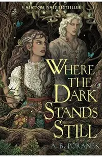 Where the Dark Stands Still