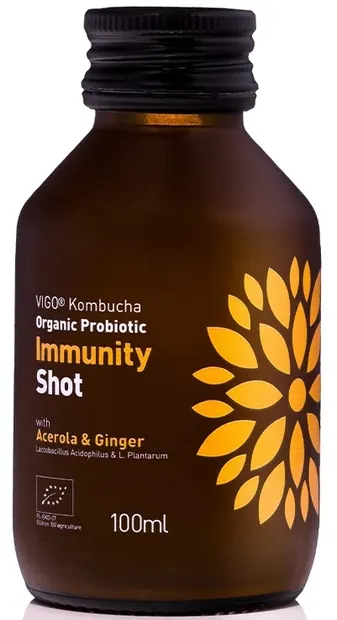 Immunity Bio shot, 100 ml, Vigo Kombucha