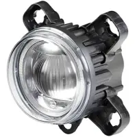 Hella 1f0 011 988-121