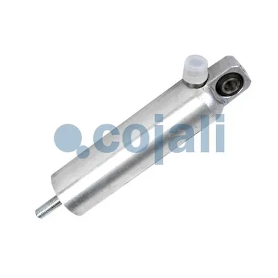 Cojali 2301205