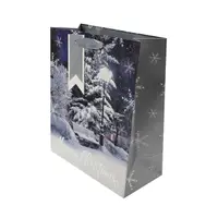 Pungă cadou Crăciun SDE M XMAS PHOTOGRAPHIC