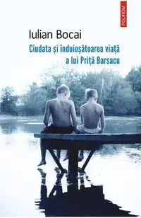 eBook Ciudata si induiosatoarea viata a lui Prita Barsacu