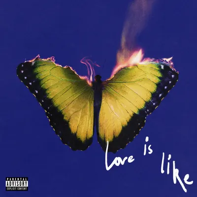 Love is Like - Indie Exclusive Vinyl