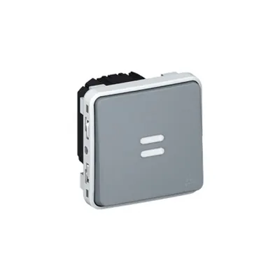 Time lag switch Plexo IP55 - illuminated electronic 250 V~ - modular - gri