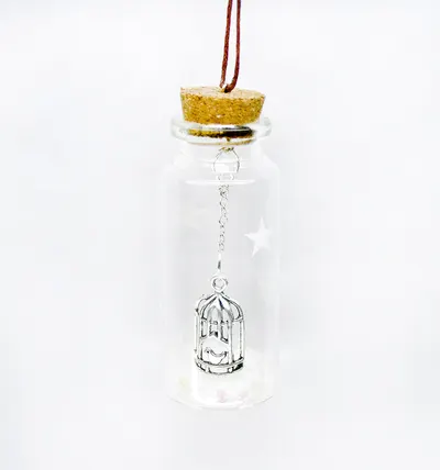 Decoratiune Craciun - Glass Bottle, colivie pasare