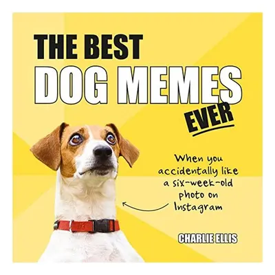 Best Dog Memes Ever