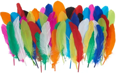 Set 50 de pene naturale intens colorate