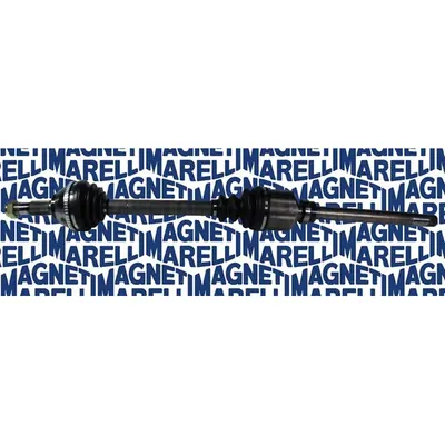 Planetara MAGNETI MARELLI 302004190032