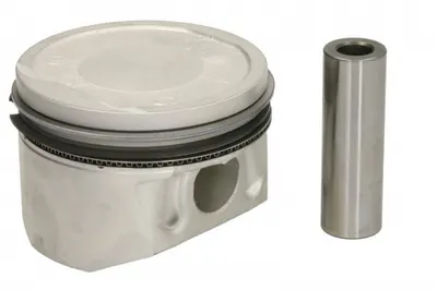 Piston 79,5 (std) Potrivit Dacia Duster, Duster Suv, Logan, Logan Mcv, Sandero; Nissan Kubistar; Renault Clio Ii, Grand Scenic Ii, Kangoo, Kangoo Be Bop, Kangoo Express 1.6 1.6alk 1.6lpg 11.97-
