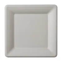 Farfurii Biodegradabile, Compostabile, Patrate, Albe, 20 cm, 50 buc