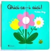Ghici ce-i aici!