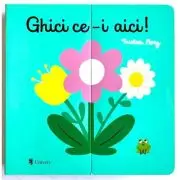 Ghici ce-i aici!