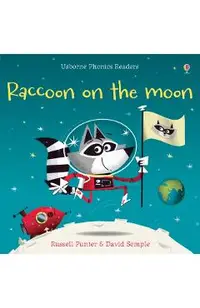 Raccoon on the Moon
