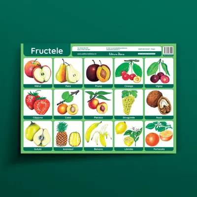 Fructele