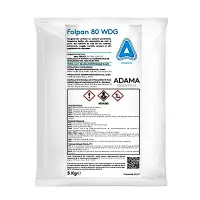 Folpan 80WDG 5 kg fungicid contact Adama (vita de vie, mar, prun, ceapa, cartofi, hamei, tomate rasad) - Default Title