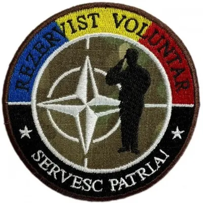 Emblema Brodata Rezervist Voluntar NATO - Default Title