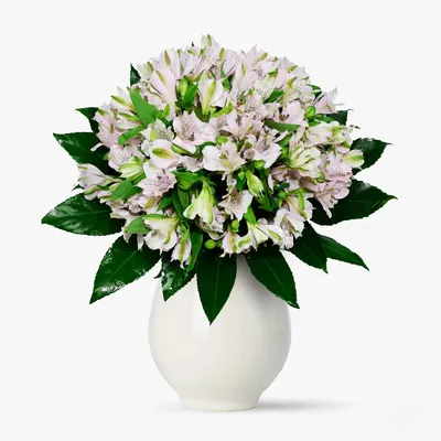 Buchet de 21 alstroemeria roz