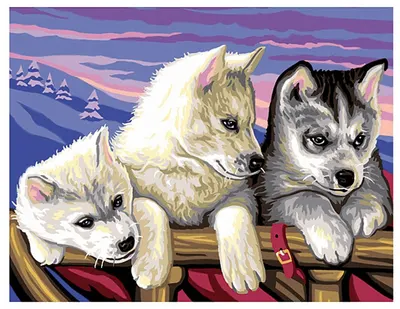 Set creativ de desen KSG Crafts - Husky