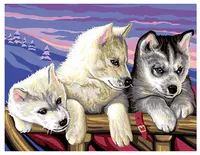 Set creativ de desen KSG Crafts - Husky