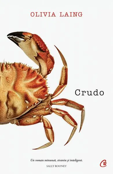 Crudo - Paperback brosat - Olivia Laing