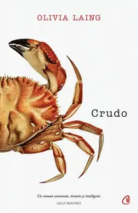 Crudo - Paperback brosat - Olivia Laing