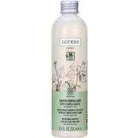 Sampon pentru Par Gras cu Mesteacan si Salcie 250ml