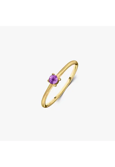 Inel din argint Birthstone Golden February - Ametist