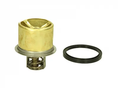 Termostat lichid racire (75 C, cu garnitura) potrivit RVI MAGNUM MACKE.TECHA 46 MACKE.TECHB 46 MACKE.TECHC 46 05.00