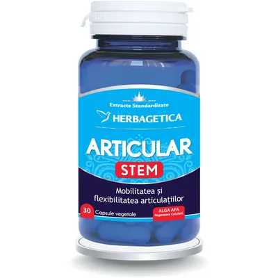 Articular Stem 30cps