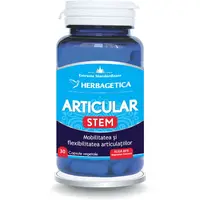 Articular Stem 30cps