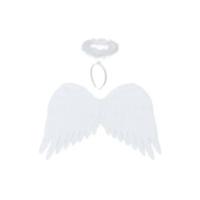 Costum inger, 2 aripi 45x32 cm, cordeluta aura, pene albe