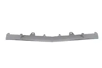 Element bara Fata AMG, plastic, crom potrivit MERCEDES E T-MODEL S212, E W212 2009-2016 2015-2016