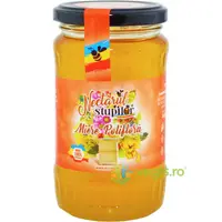 Miere Poliflora Apis Felix 450g