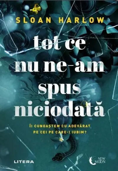 Tot ce nu ne-am spus niciodată - Paperback brosat - Sloan Harlow