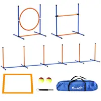 Set Agilitate PawHut pentru Antrenament Câini cu Inel și Bară Reglabilă pentru Sărituri, Stâlpi pentru Slalom, Fluier, Mingii și Geantă de Transport, Portocaliu | Aosom Romania