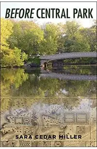 Before Central Park
