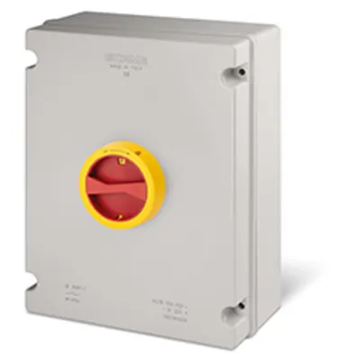 Intrerupator separatorn80A 8P IP55 228x308x128mm Y4 IK09 EMERGENCY YELLOW/RED GW 650°C