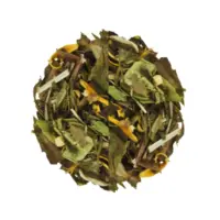 Ice Tea Citrus & Ginger (Gramaj: 50g)