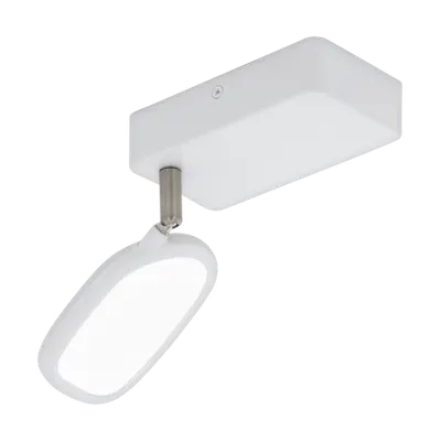 Spot Palombare-C 2700-6500k 220-240v,50/60hz