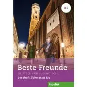 Beste Freunde B1 Leseheft Schwarzes Eis