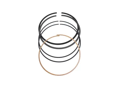 Set segmenti KYMCO MXU 500 - 500DX - MXU 550 - XCITING 500 R500